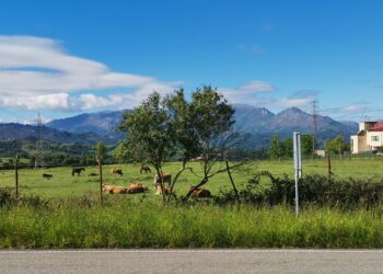 El Gobierno Asturias autoriza tres parques de baterías en Oviedo en suelo rústico