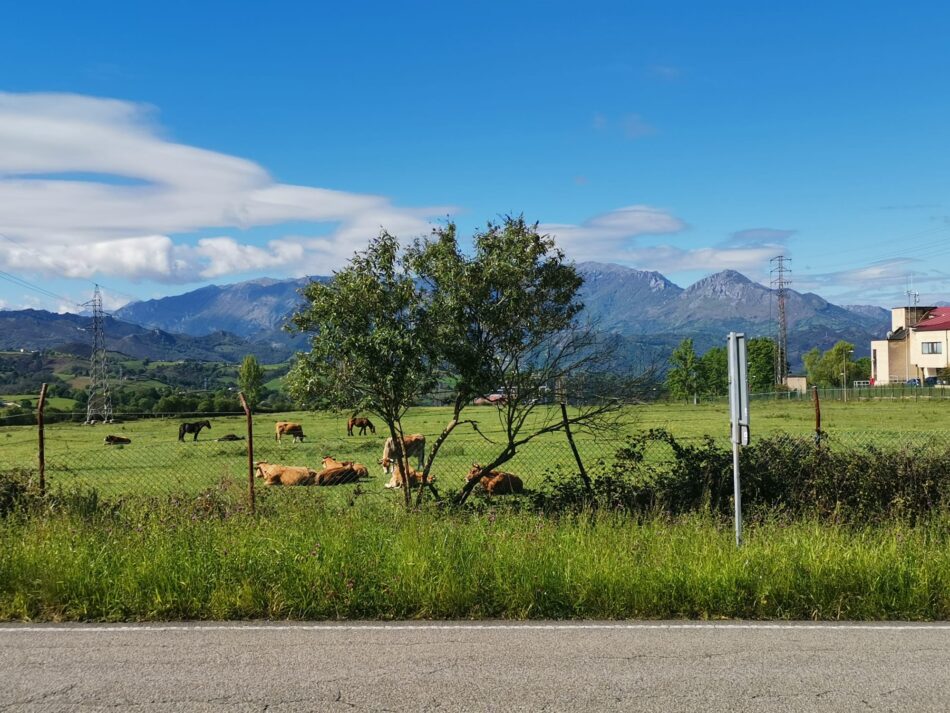 El Gobierno Asturias autoriza tres parques de baterías en Oviedo en suelo rústico
