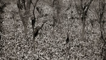 El Frente Popular: Noventa años de una victoria histórica que iba camino de transformar España, abortada por el golpe de Estado fascista y la guerra