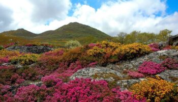 Xornada na Boullosa (Baltar) de posta en valor e defensa do Larouco