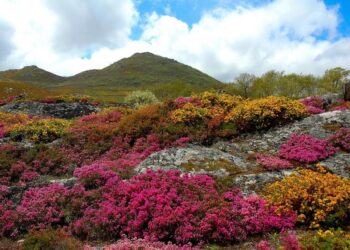 Xornada na Boullosa (Baltar) de posta en valor e defensa do Larouco