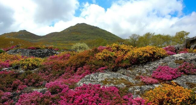 Xornada na Boullosa (Baltar) de posta en valor e defensa do Larouco
