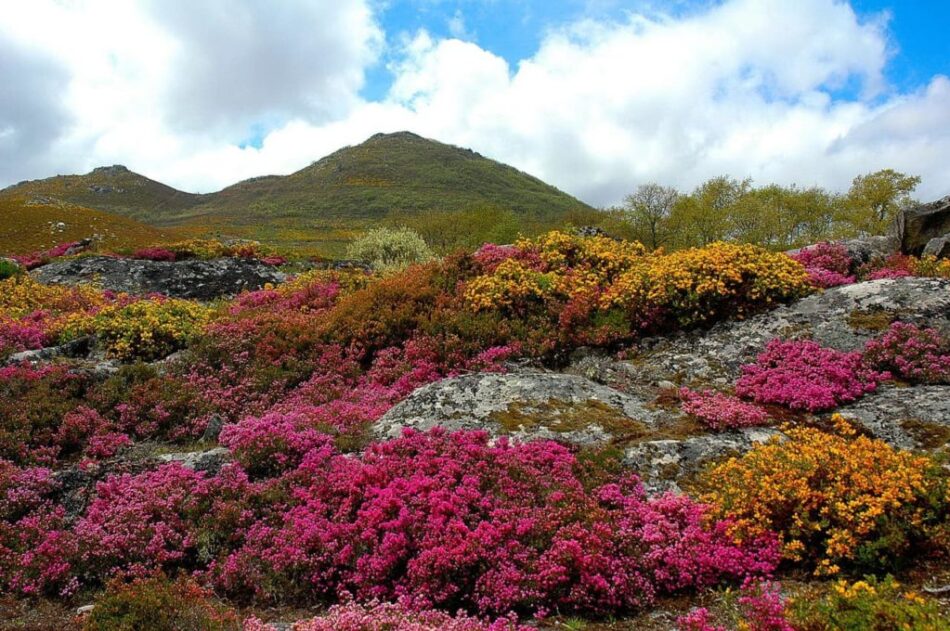 Xornada na Boullosa (Baltar) de posta en valor e defensa do Larouco