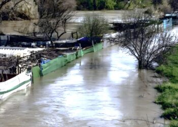 La crecida del río Jarama vuelve a poner en riesgo a personas y animales domésticos en los chamizos ilegales de San Fernando de Henares