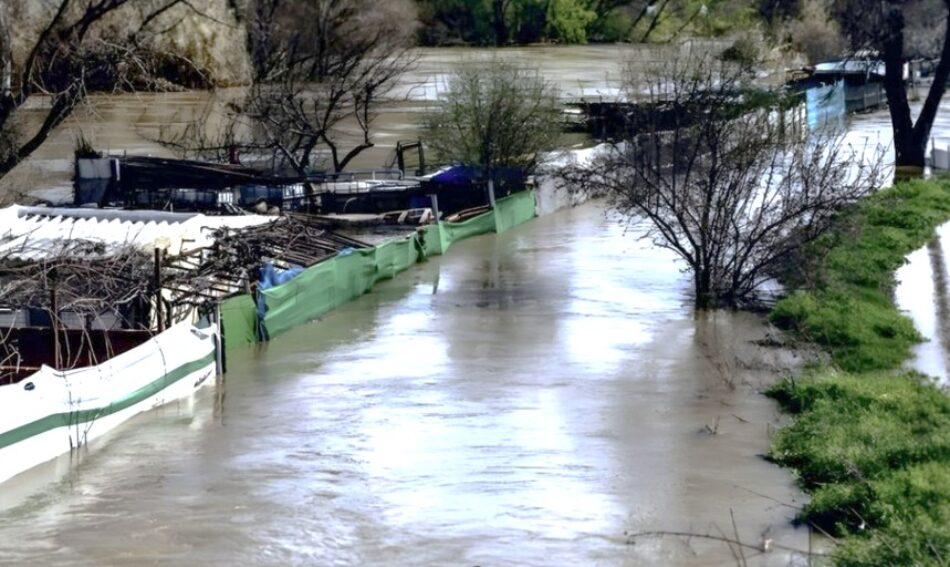 La crecida del río Jarama vuelve a poner en riesgo a personas y animales domésticos en los chamizos ilegales de San Fernando de Henares