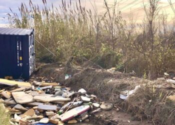 Las entidades ambientales solicitan a Ramsar una misión de asesoramiento para l’Albufera de València tras la celebración del Día Mundial de los Humedales