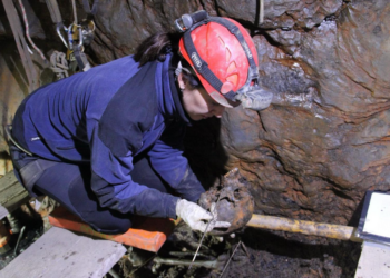 Diputación de Cáceres saca a licitación los trabajos de exhumación en fosas de Almoharín y Villamesías