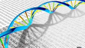 El genoma completo en unas horas: la solución al diagnóstico rápido de enfermedades raras
