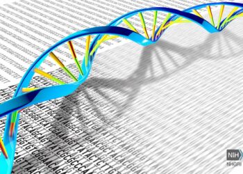 El genoma completo en unas horas: la solución al diagnóstico rápido de enfermedades raras