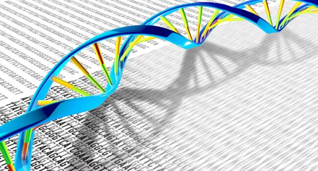 El genoma completo en unas horas: la solución al diagnóstico rápido de enfermedades raras