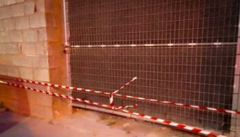 Alhama de Murcia refuerza la protección de sus colonias felinas tras intento de envenenamiento