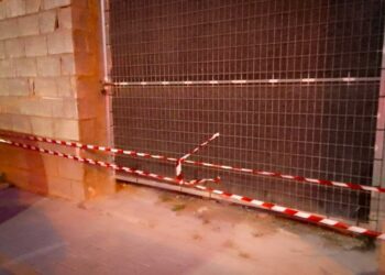 Alhama de Murcia refuerza la protección de sus colonias felinas tras intento de envenenamiento