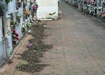 FACUA Córdoba denuncia la falta de mantenimiento y suciedad acumulada en el cementerio de San Rafael de la capital