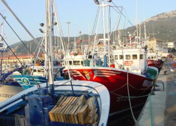 Cantabristas ve con preocupación la cuota provisional para la captura del verdel asignada a la flota pesquera cántabra de otras artes