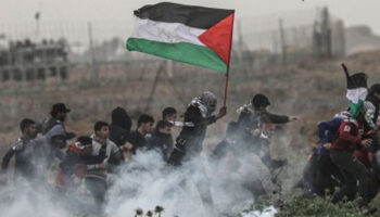 India y países árabes abogan por una Palestina independiente