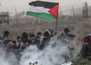 India y países árabes abogan por una Palestina independiente