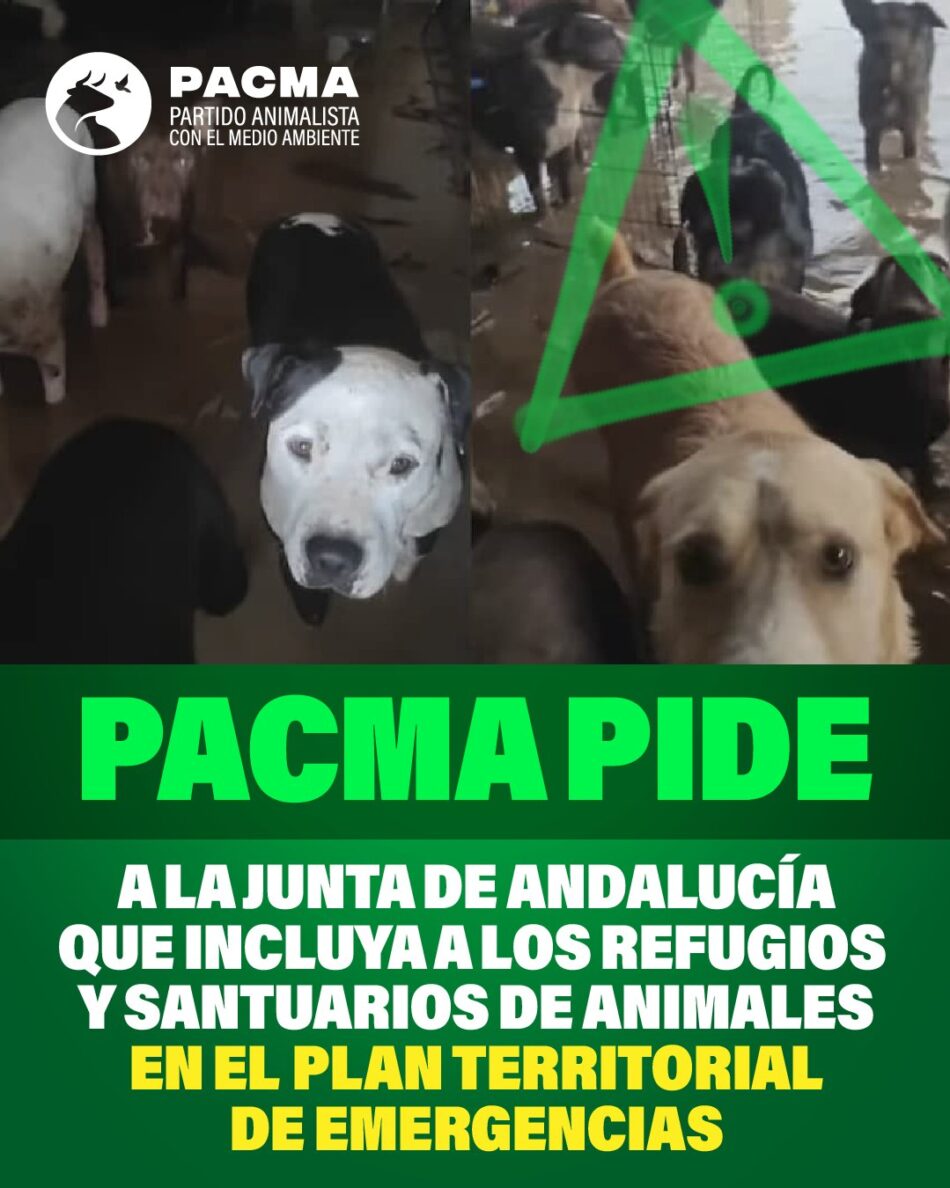 PACMA pide a la Junta de Andalucía que incluya a refugios y santuarios animales en el Plan Territorial de Emergencias