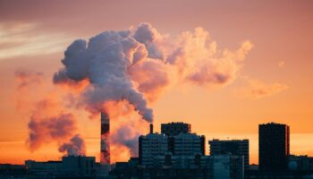 Las empresas deben liderar cambios frente a la pérdida de biodiversidad o arriesgarse a desaparecer