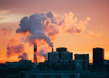 Las empresas deben liderar cambios frente a la pérdida de biodiversidad o arriesgarse a desaparecer