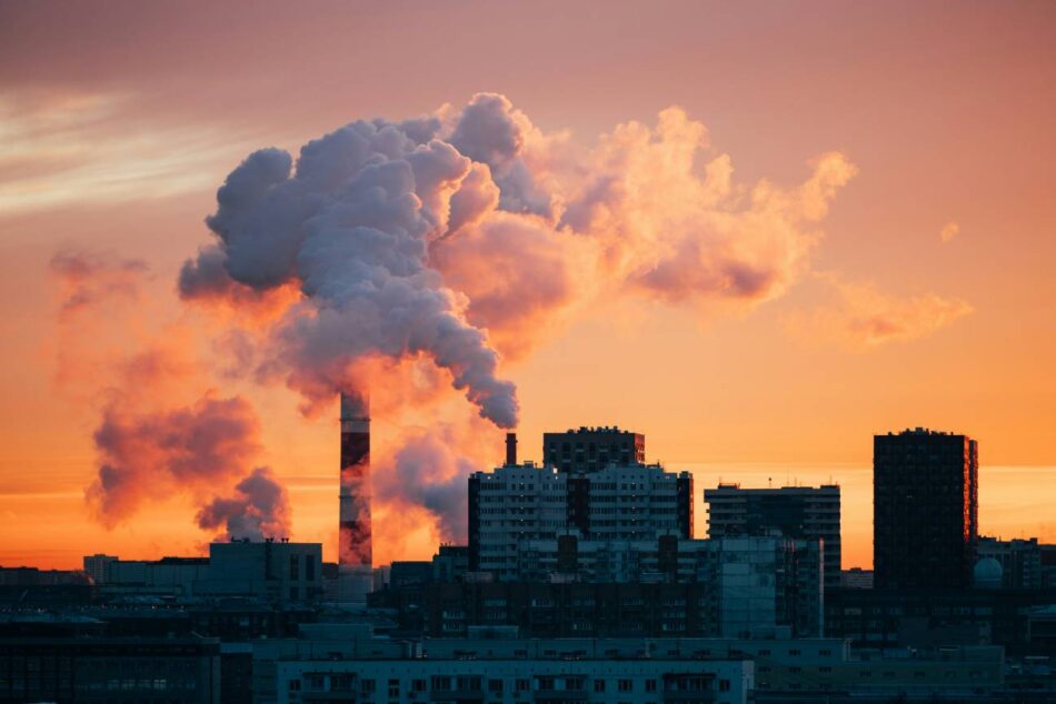 Las empresas deben liderar cambios frente a la pérdida de biodiversidad o arriesgarse a desaparecer