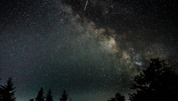 ¿Los humanos podrían reproducirse en un entorno tan hostil como el espacio?