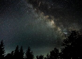 ¿Los humanos podrían reproducirse en un entorno tan hostil como el espacio?