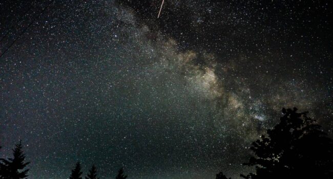 ¿Los humanos podrían reproducirse en un entorno tan hostil como el espacio?