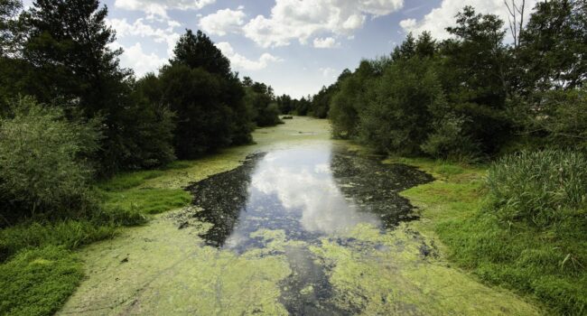 El Tribunal Supremo confirma la sentencia pionera de As Conchas por vulneración de derechos fundamentales ante la contaminación por ganadería industrial