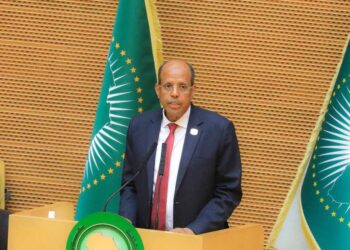 La Unión Africana debate sobre agua sin olvidar contexto geopolítico global