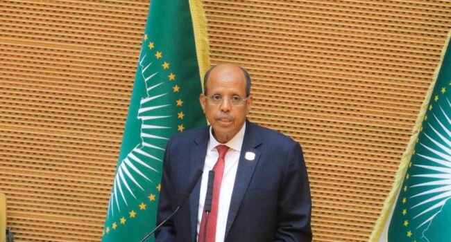 La Unión Africana debate sobre agua sin olvidar contexto geopolítico global