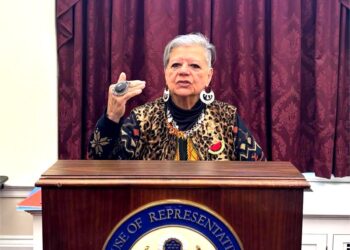 La chilena Nieves Ayress exige el fin de la doctrina Monroe ante el Congreso de EEUU