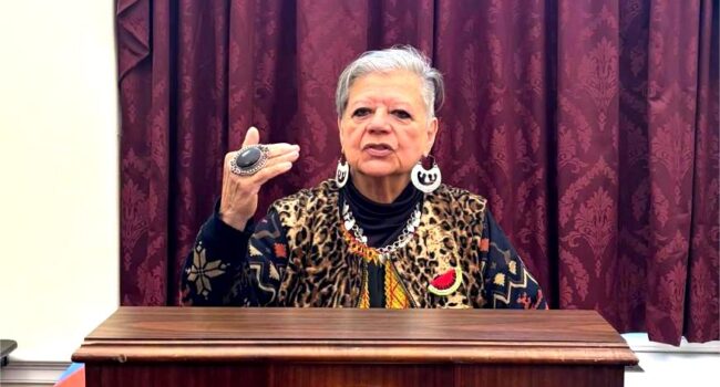 La chilena Nieves Ayress exige el fin de la doctrina Monroe ante el Congreso de EEUU