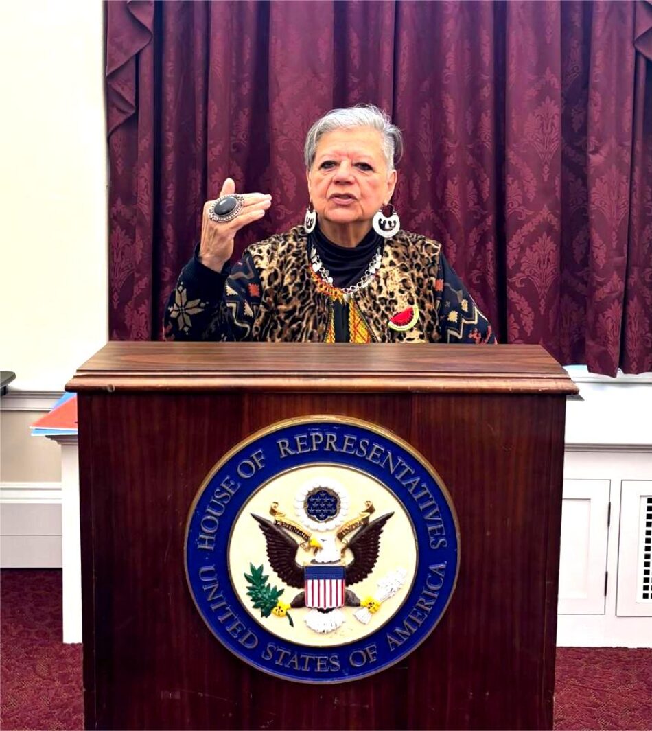 La chilena Nieves Ayress exige el fin de la doctrina Monroe ante el Congreso de EEUU