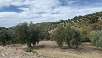 Salvemos la Subbética y Ecologistas en Acción recurren el permiso minero “Serrano” y solicitan su suspensión urgente