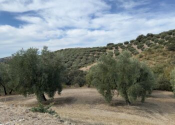 Salvemos la Subbética y Ecologistas en Acción recurren el permiso minero “Serrano” y solicitan su suspensión urgente