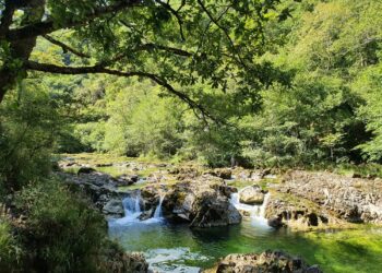 Autorizan secar el río Dobra para atender a los turistas de Cangas de Onís