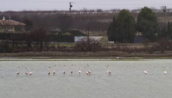 Solo la mitad de los humedales españoles están conservados en alguna medida