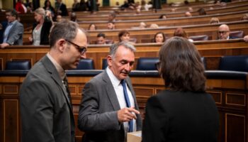 IU reclama a Exteriores que explique al conjunto de agentes sociales del Grupo Transfronterizo del Campo de Gibraltar el alcance completo del Tratado UE-Reino Unido antes de entrar en vigor