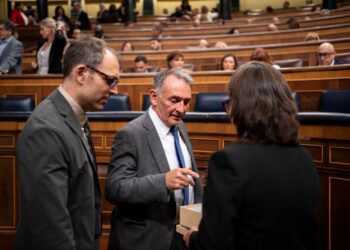 IU reclama a Exteriores que explique al conjunto de agentes sociales del Grupo Transfronterizo del Campo de Gibraltar el alcance completo del Tratado UE-Reino Unido antes de entrar en vigor