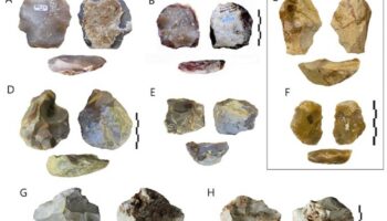 Un estudio revela la diversificación tecnológica en Europa hace 400.000 años