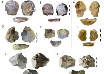 Un estudio revela la diversificación tecnológica en Europa hace 400.000 años