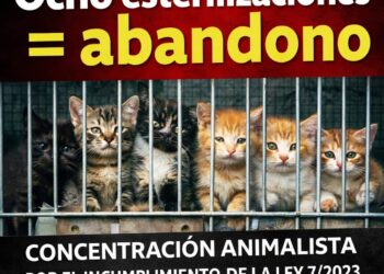 Convocan una concentración en Sevilla por el incumplimiento de la Ley 7/2023 en la gestión de colonias felinas