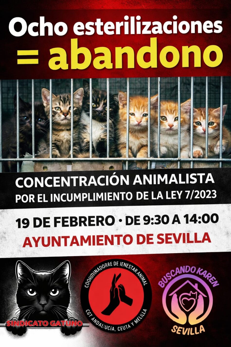 Convocan una concentración en Sevilla por el incumplimiento de la Ley 7/2023 en la gestión de colonias felinas