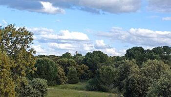 Montegancedo resiste el intento de saltarse las medidas cautelares que le protegen