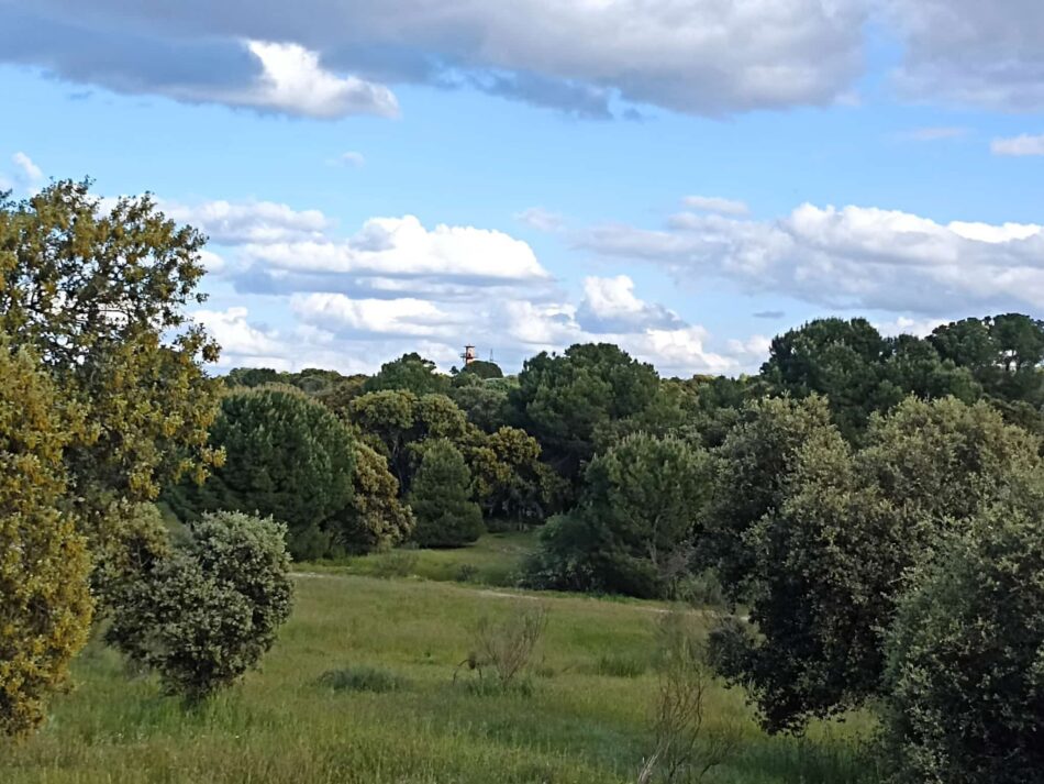 Montegancedo resiste el intento de saltarse las medidas cautelares que le protegen