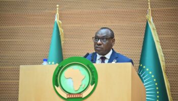 África demanda organización económica y dejar dependencia externa