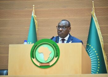 África demanda organización económica y dejar dependencia externa