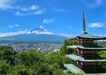 Japón cancela festival de cerezos en Fujiyoshida por sobreturismo