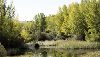 Piden que se publique el catálogo regional de zonas húmedas de Extremadura
