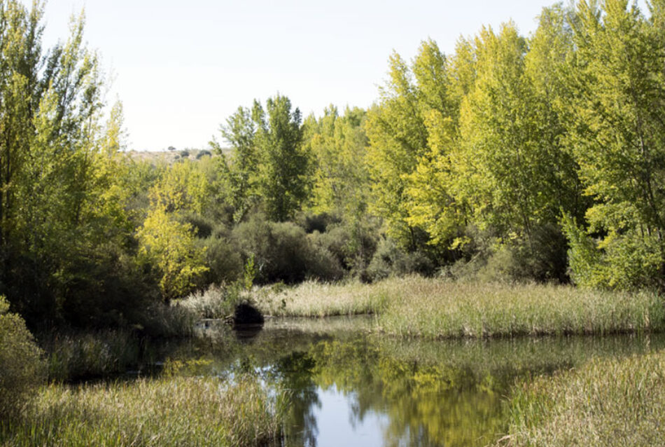 Piden que se publique el catálogo regional de zonas húmedas de Extremadura